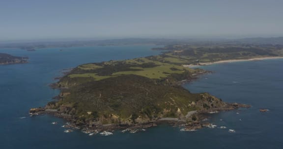 Tāwharanui Peninsula, north of Auckland