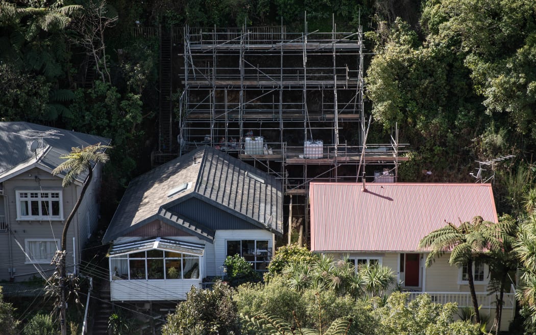 Gillian Parnham's home is in the Northland suburb of Wellington, near the Botanic Gardens, where her backyard sits on a hill at a 45-degree angle.