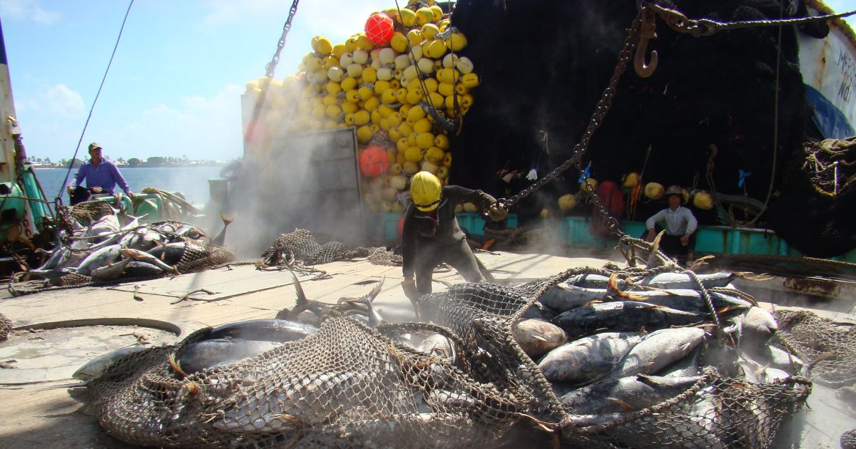 US Tuna boats back at work in the Pacific RNZ News