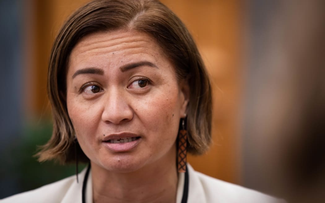 Marama Davidson, Co-Leader of the Green Party