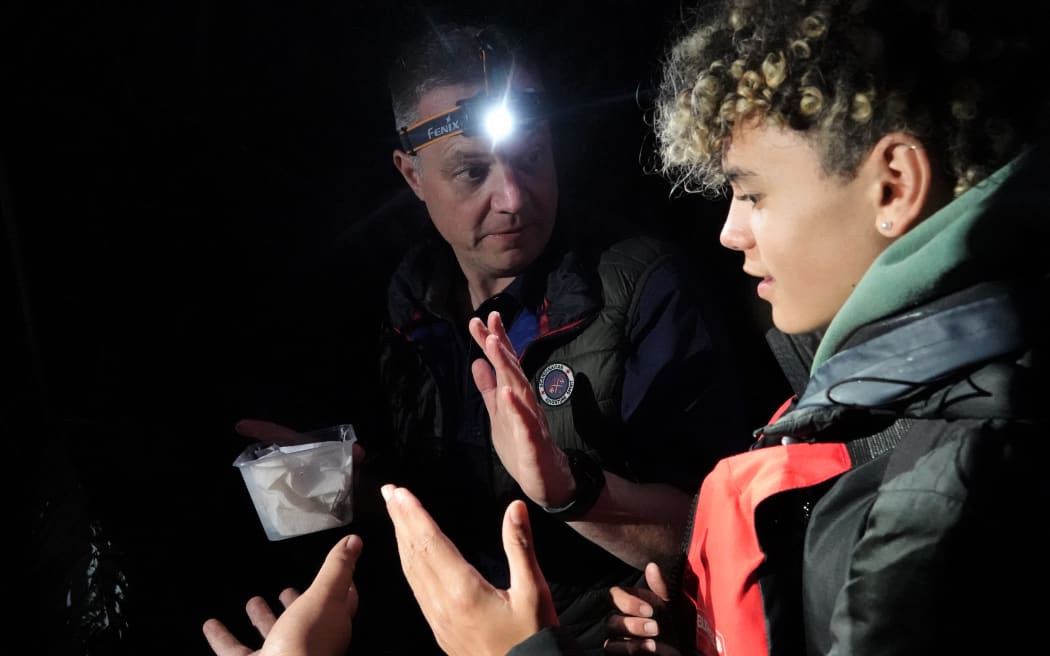 Project Island Song general manager Richard Robbins shows Te Manawa Chapman, 14, an R Tucker Thompson youth voyager, how to release the juvenile wētā.