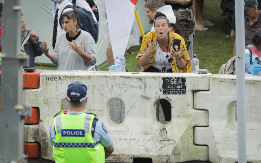 A protester confronts the police line at the gathering outside Parliament.