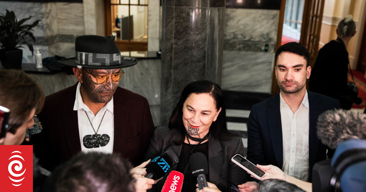 Te Pāti Māori proposes Mokopuna Authority to end state care of Māori - Vimarsana News