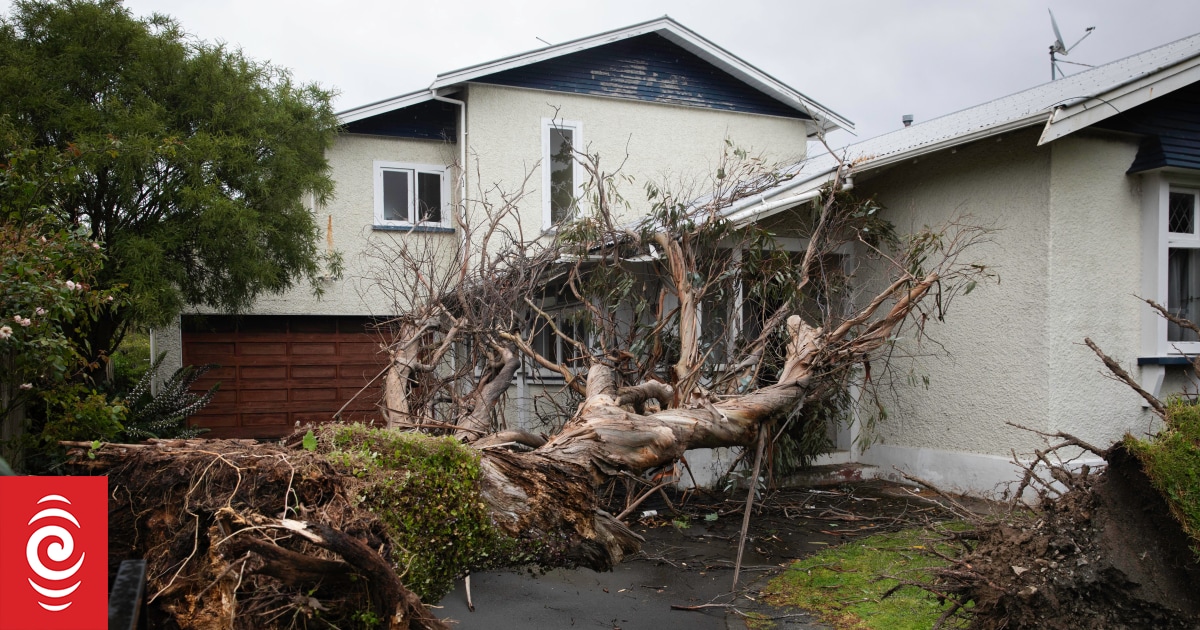 Updates: Wild weather lashes country as front moves up east coast - Vimarsana News