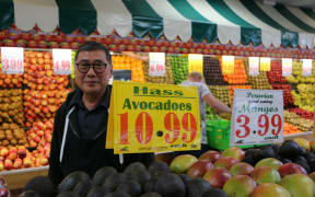 Avocados for sale at $10.99 each in Jack Lum's Auckland greengrocery.