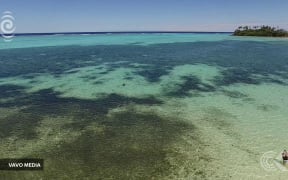 Call to save Cook Islands' Muri lagoon from algal bloom