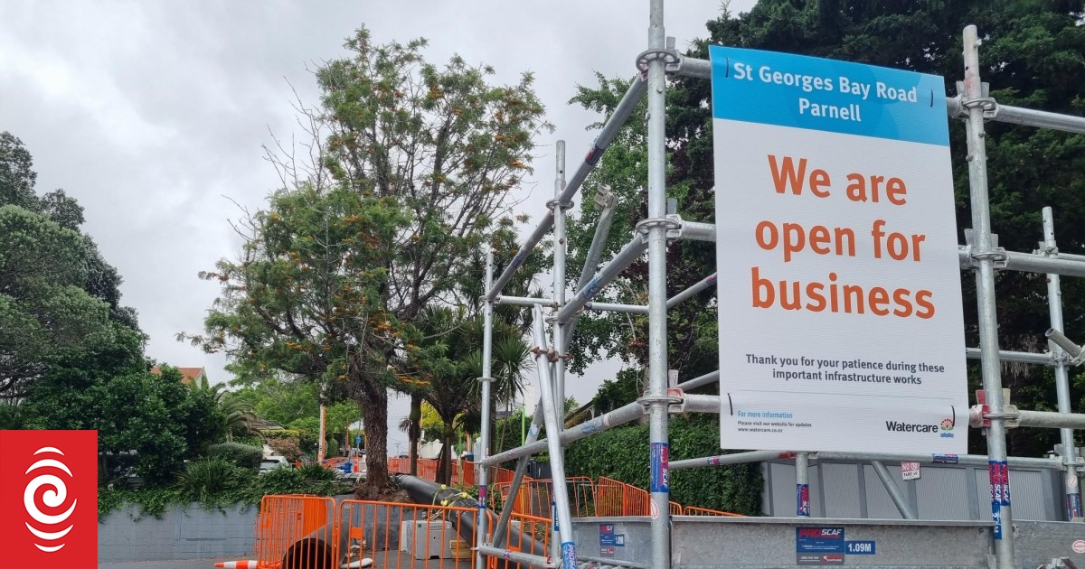 Stink lingers as Parnell sinkhole fix drags on - Vimarsana News