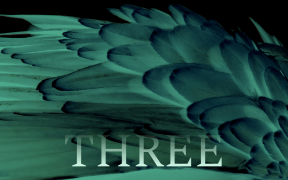 Ghostly sickly green feathers are reminiscent of churning water, the word "Three" is imposed over the image.