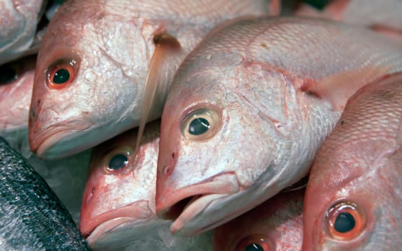 Fish
