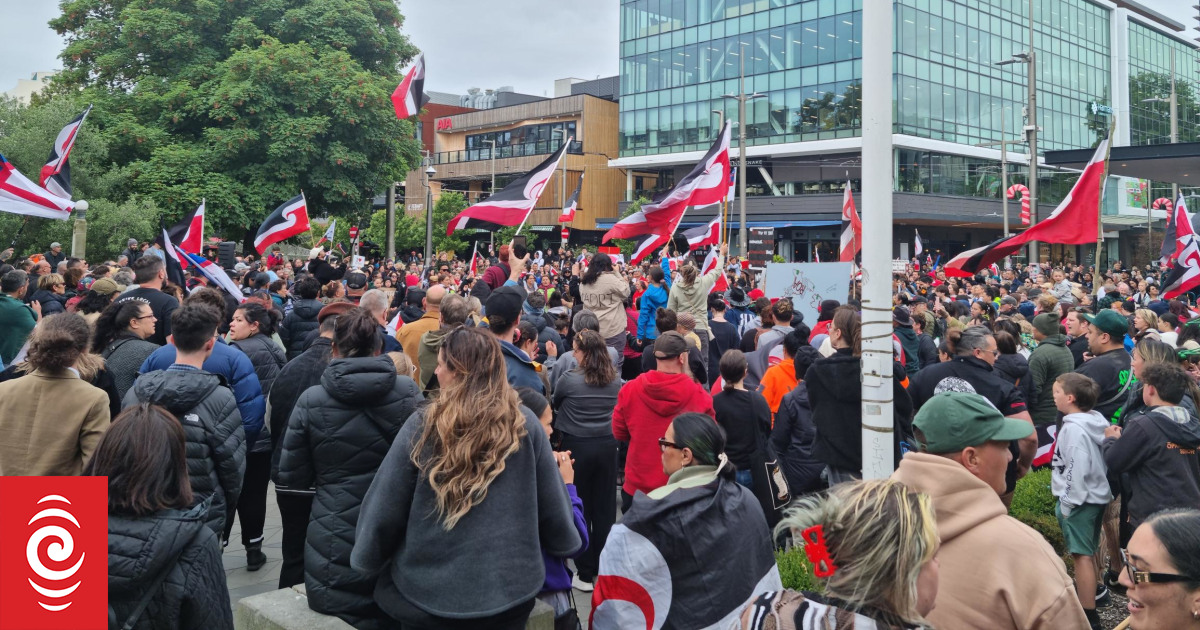 Hundreds gather in Christchurch for National Māori Action Day - Vimarsana News