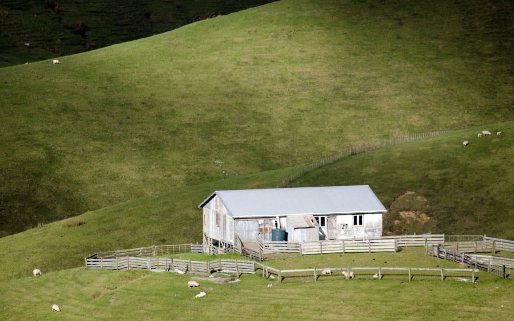 Remote hill sheep farm station in New Zealand.