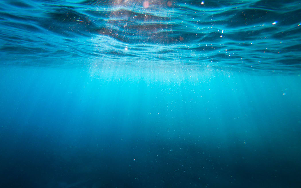 Underwater in the ocean.