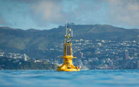 The buoy was put into place southeast of Matiu Island in Wellington harbour today.