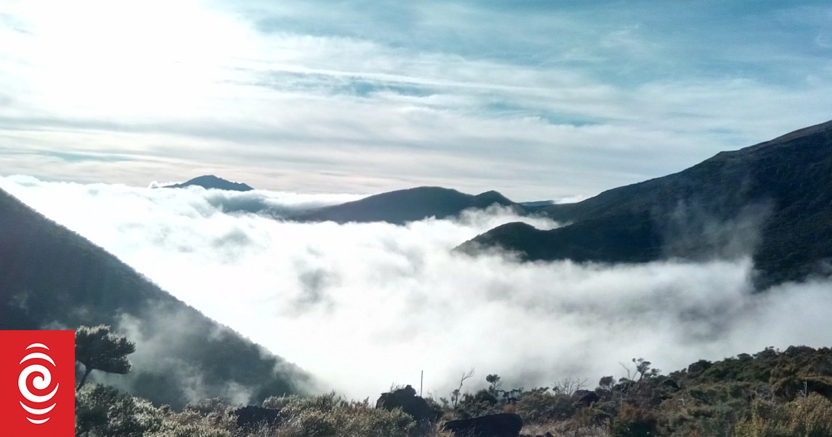 Body found in ranges likely missing tramper, police say