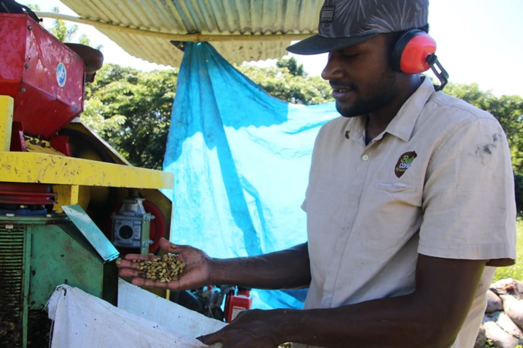 Fiji coffee being processed on site