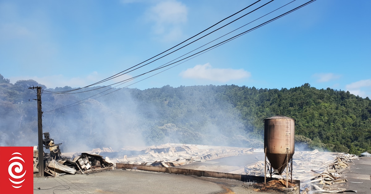 50,000 chickens killed in poultry farm fire overnight