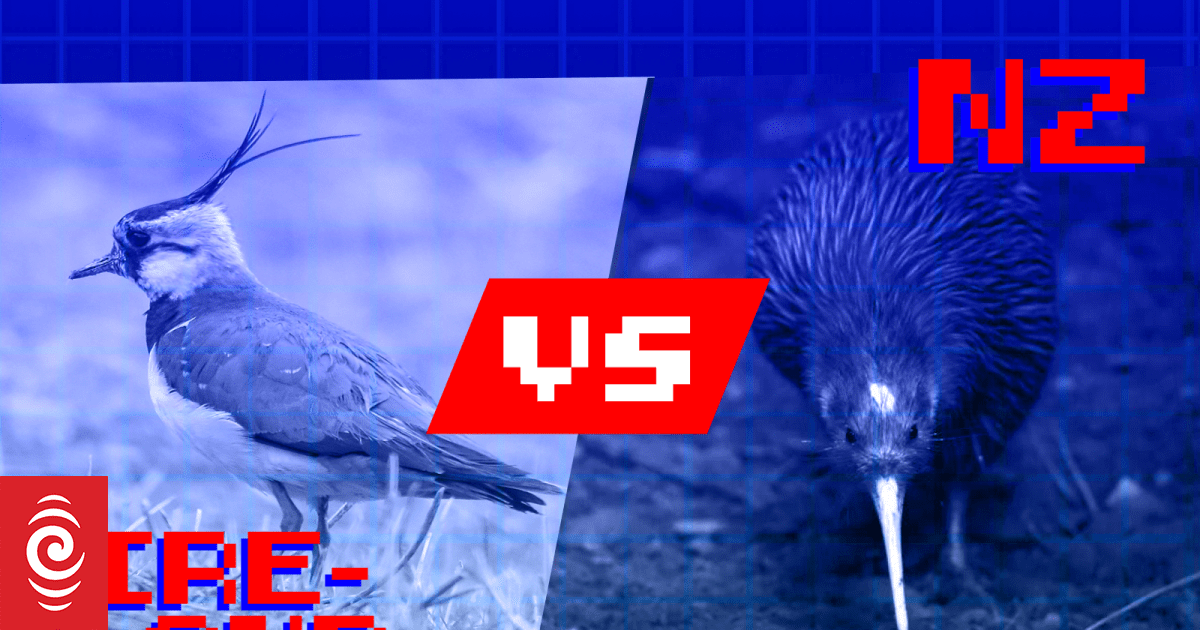 The great Ireland vs. New Zealand bird-off: Part 1 - Vimarsana News