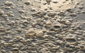 A close up of wastewater. The water is a dirty brown with bubbles