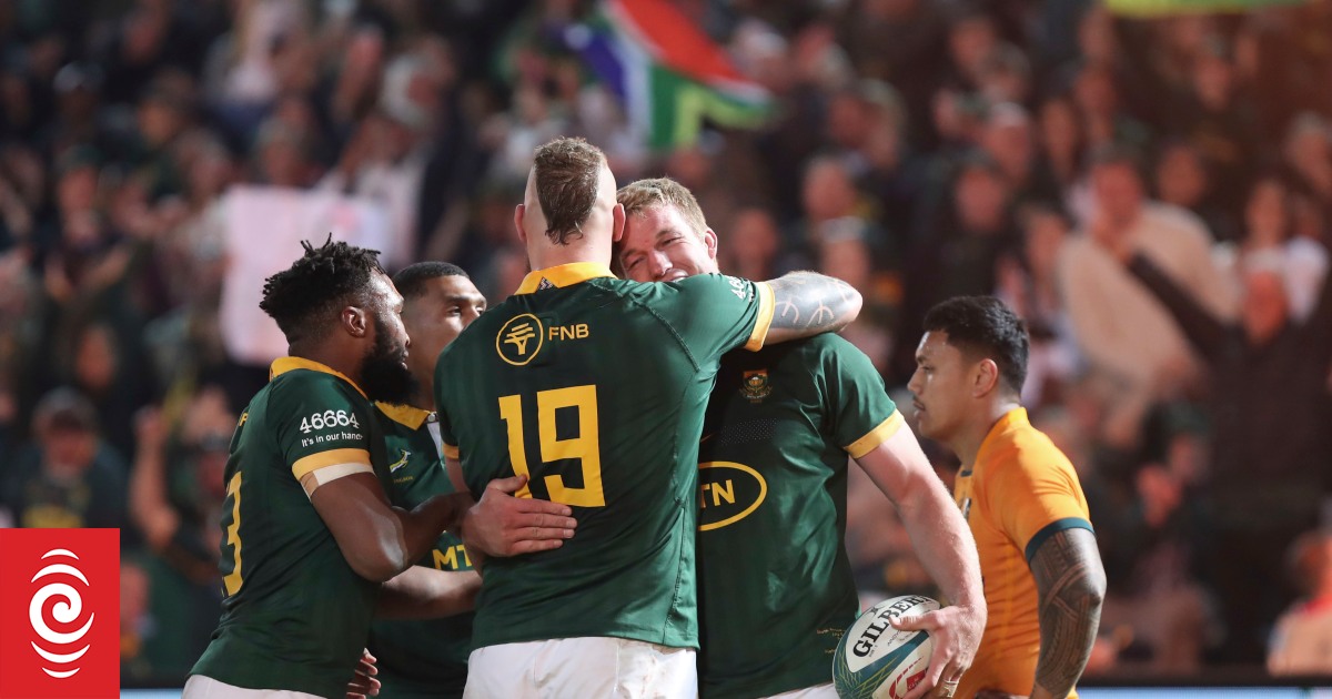 South Africa put Wales to the sword with 52-16 win - Vimarsana News