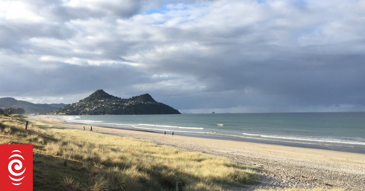 Project to build new bridge in Tairua to expand trail network RNZ