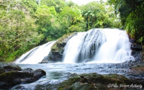 A waterfall in Palau