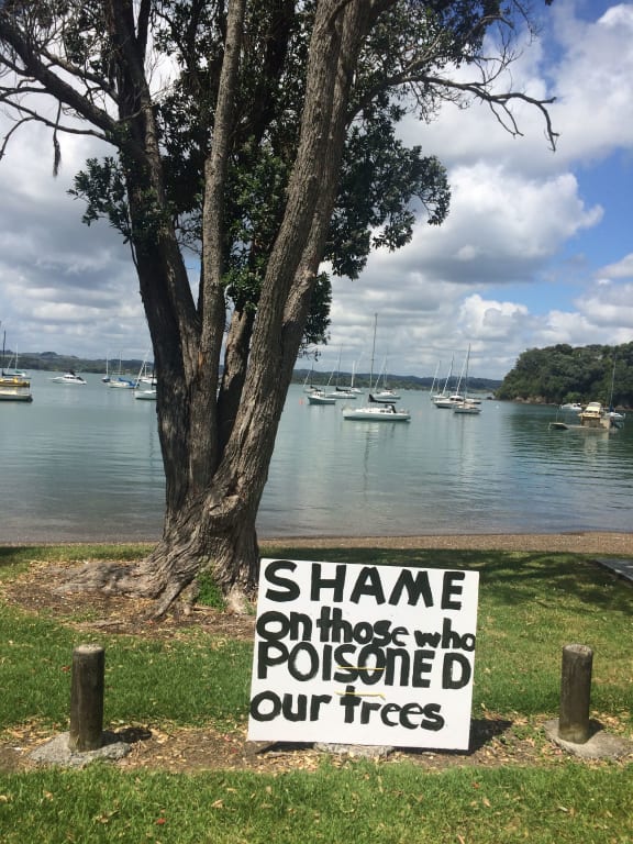 A row of pohukukawa trees on the beachfront at Opito Bay have been deliberately poisoned.