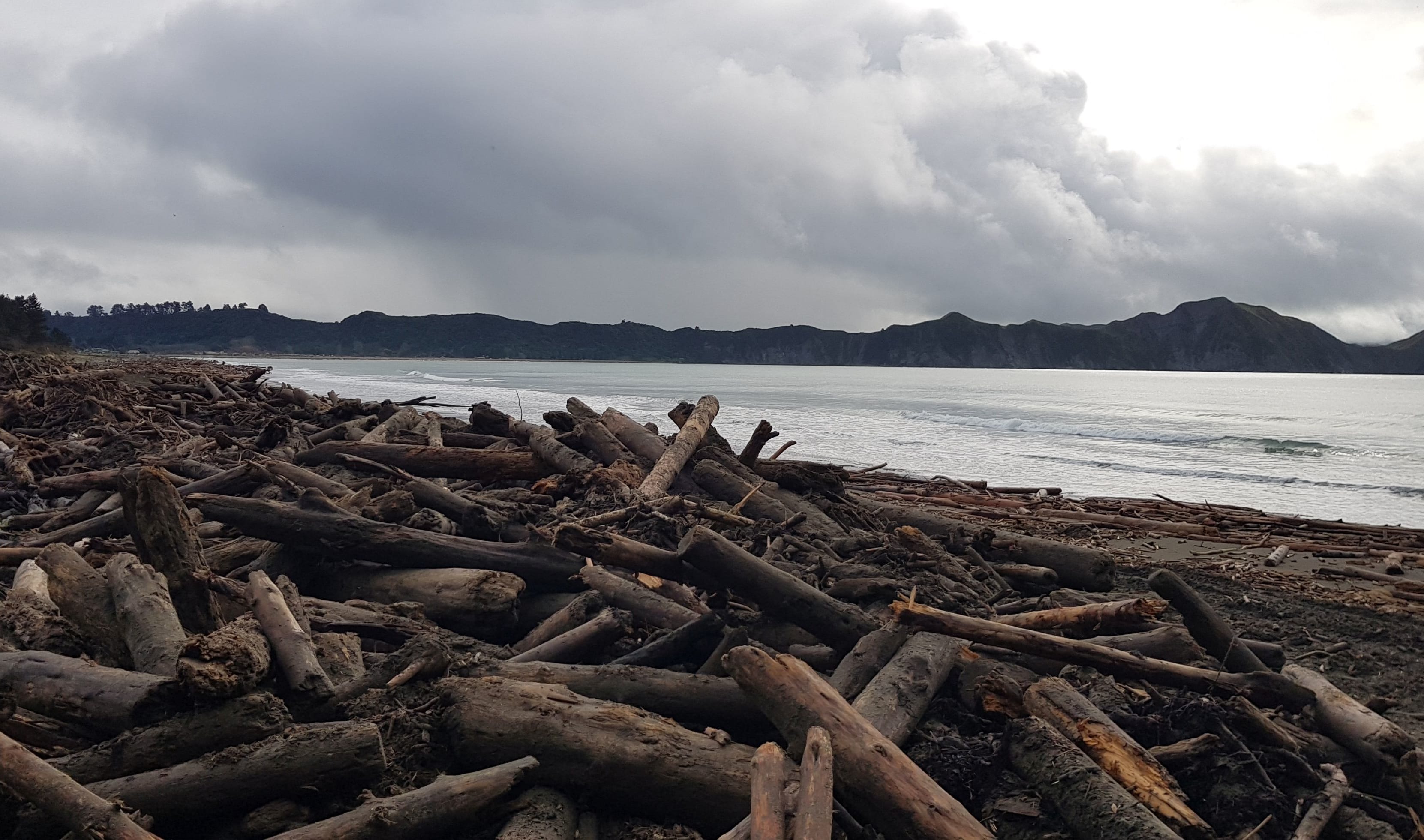 Tolaga Bay locals seek solution over slash damage RNZ News