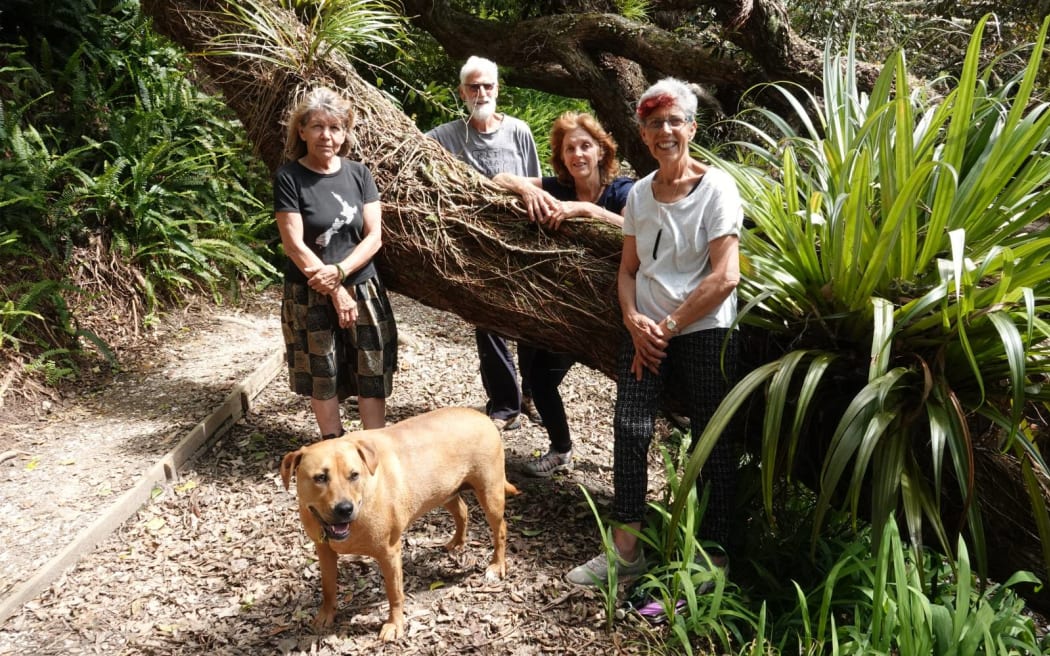From left, Linda Harris, Rob Pringle, Cynthia Matthews, Carol Pringle and Savi the dog with a centuries-old pōhutukawa that's toppled over at Ōpua.