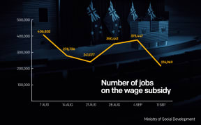 Wage subsidy graph