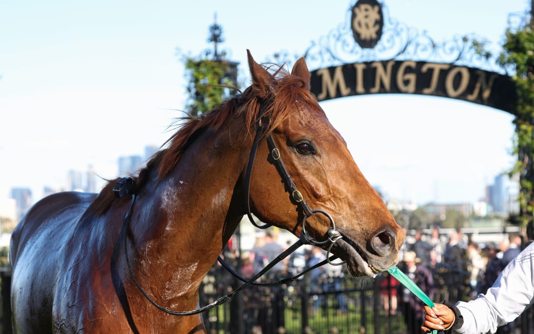Smokin' Romans (NZ) after winning  the TAB Turnbull Stakes at Flemington Racecourse on October 01, 2022 in Flemington, Australia. (Photo by George Sal/Racing Photos via Getty Images)