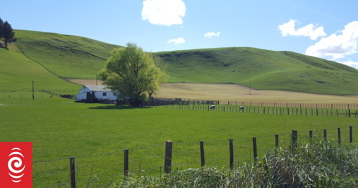Average House Price In Regions Reaches 500k RNZ News