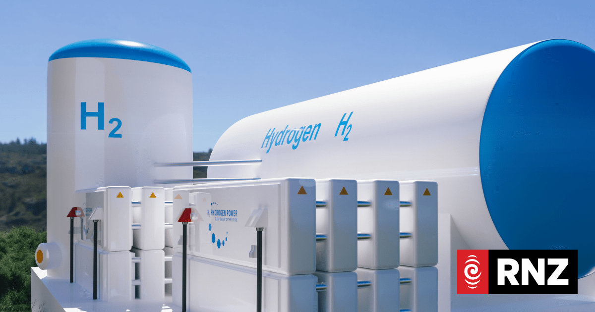 Renewable gas industry is booming, say industry professionals - Vimarsana News