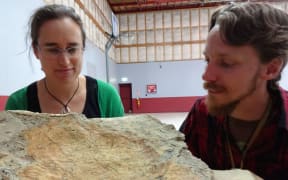 GNS Science palaeobotanist Liz Kennedy and expedition leader Chris Mays, from Monash University, with one of the large, fossil-bearing boulders from the Clarence Valley.