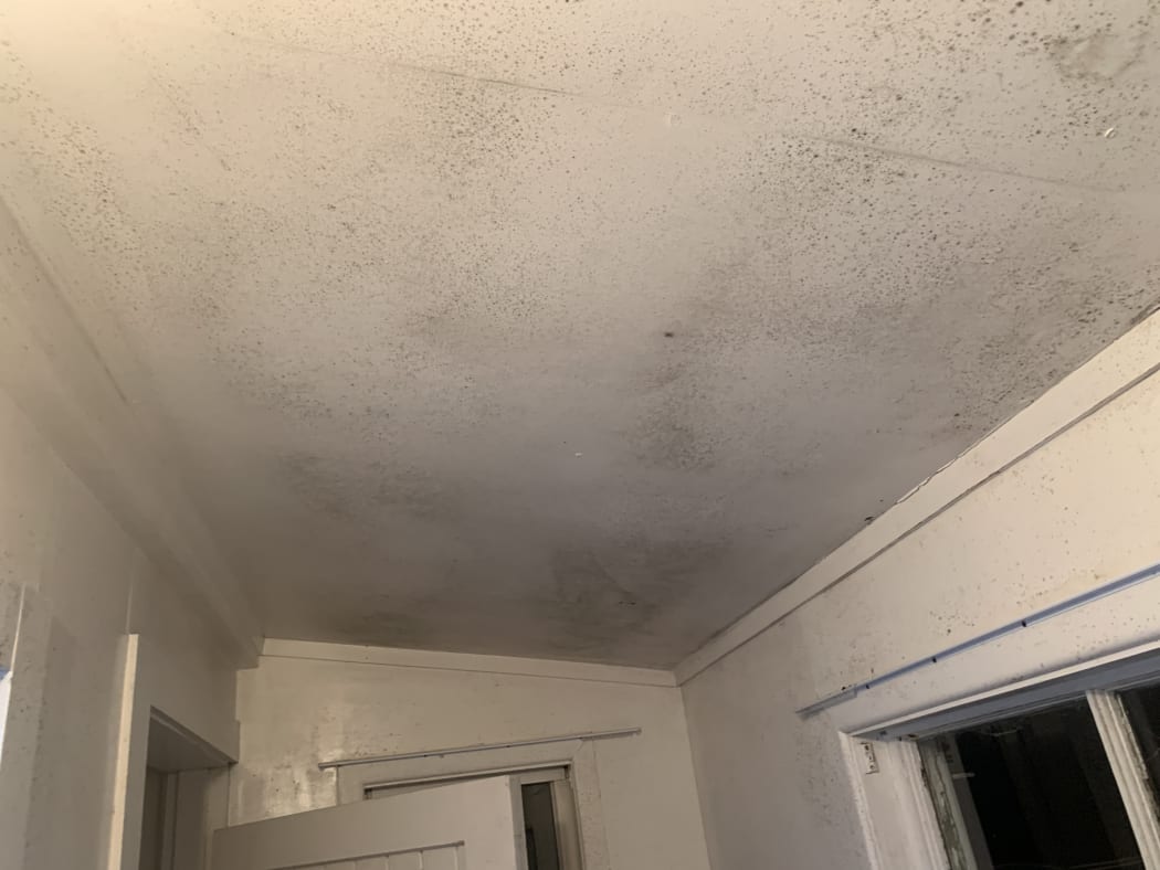 Students compromise on food to live in damp, mouldy homes | RNZ News