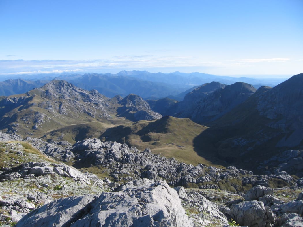 A view from Mt Owen looking west into Kahurangi National Park.