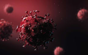 3D model design of the novel coronavirus virion