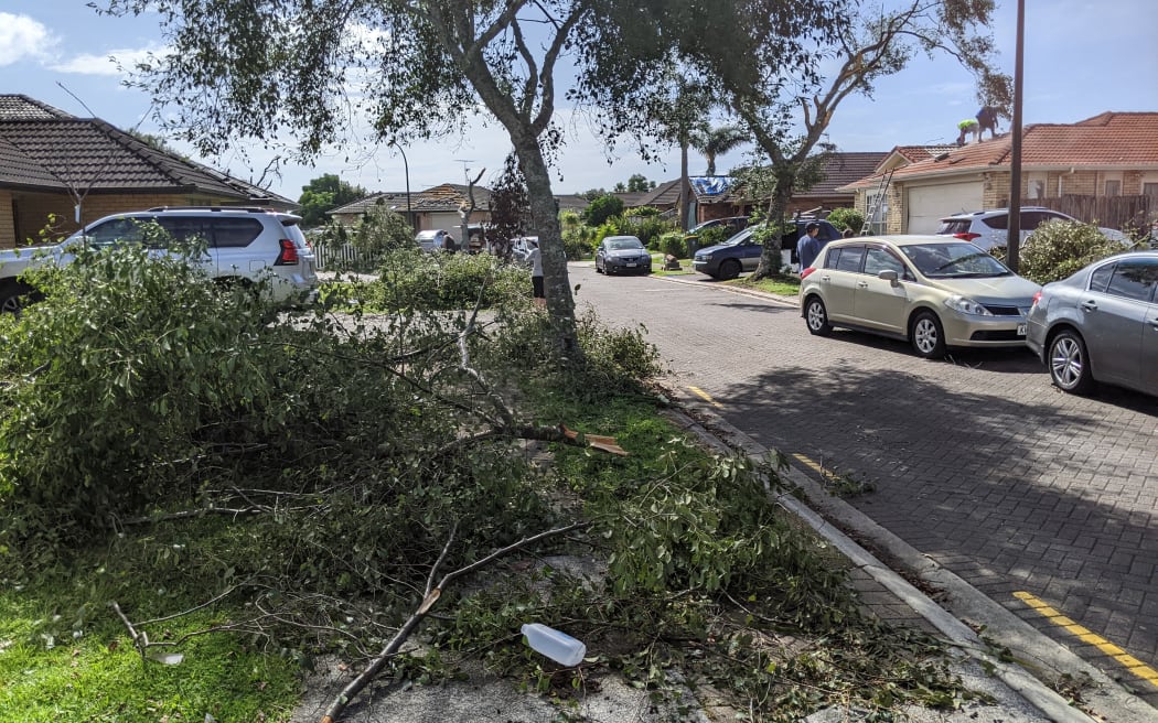 Erne Crescent, East Tamaki, pictured in the wake of Easter Sunday's tornado.