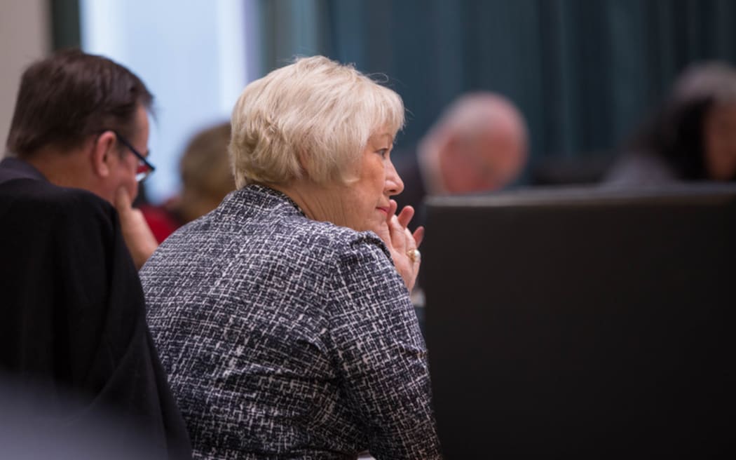 Christine Fletcher at a Council meeting about the Unitary Plan. 10 August 2016.