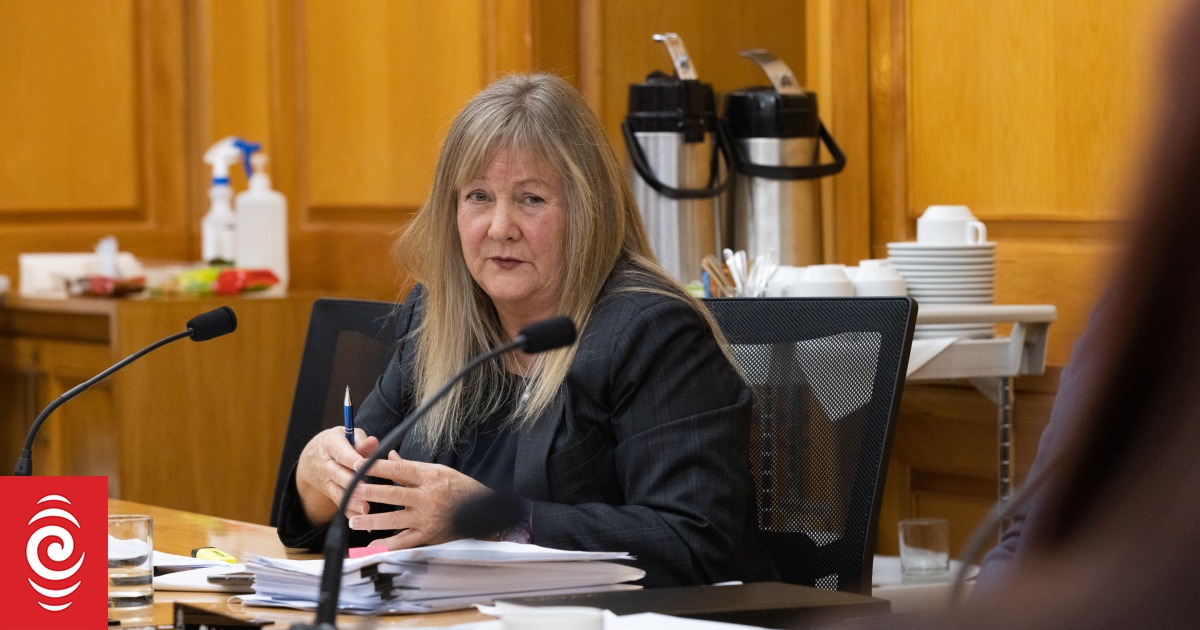 Industry leaders worried at National Party plan to scrap Workforce Development Councils - Vimarsana News