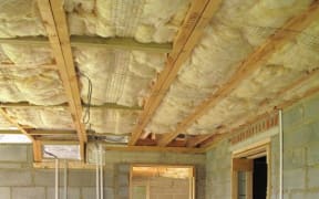 Ceiling insulation