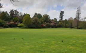 Rhododendron Lawn at the Hamilton Gardens