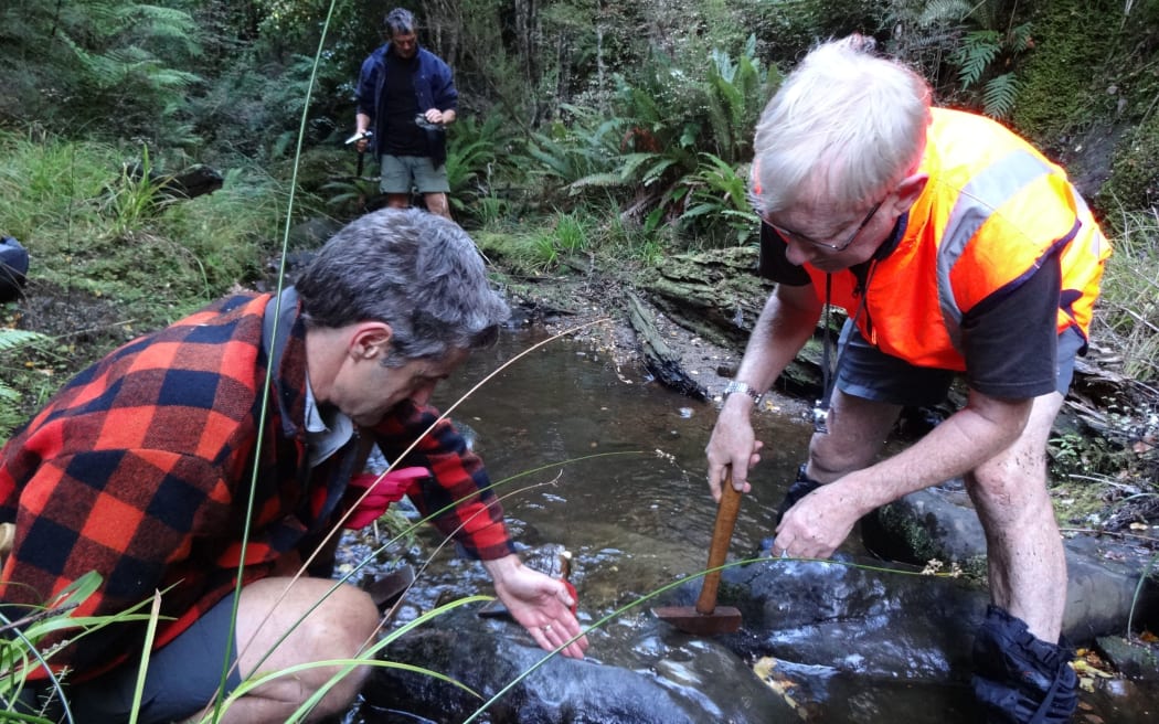 GNS Science palaeontologists James Crampton, left, and John Simes. Pete Shaw (in the background) manages the ecological restoration of the Maungataniwha forests for the Forest Lifeforce Restoration Trust.