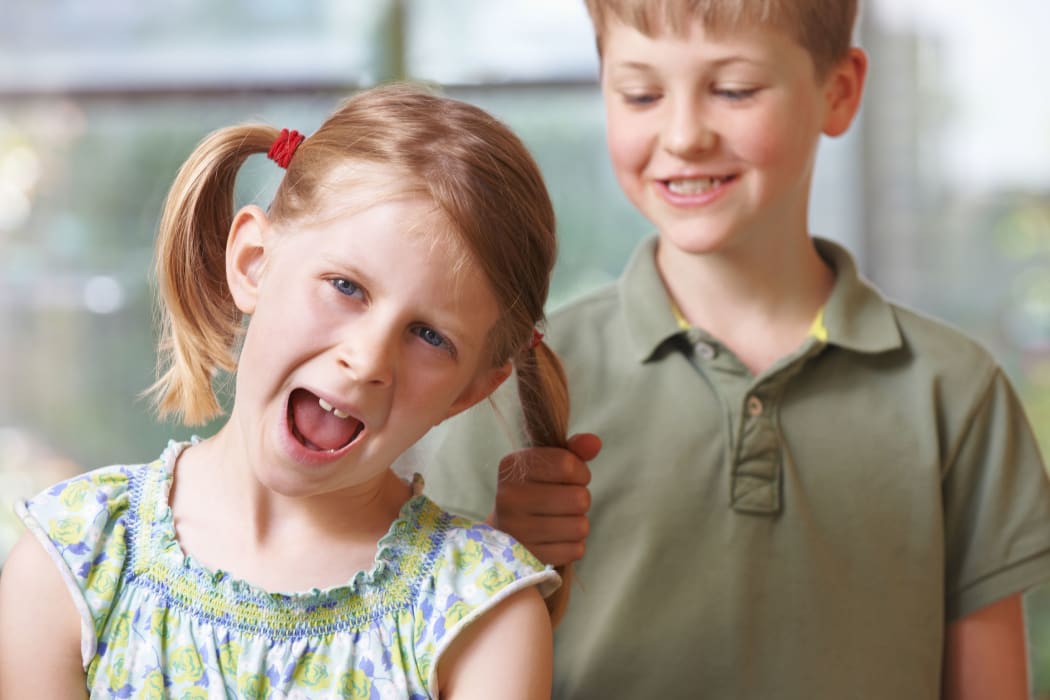 Stopping the spats: tackling sibling rivalry | RNZ