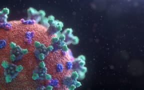 visualisation of the Covid-19 virus