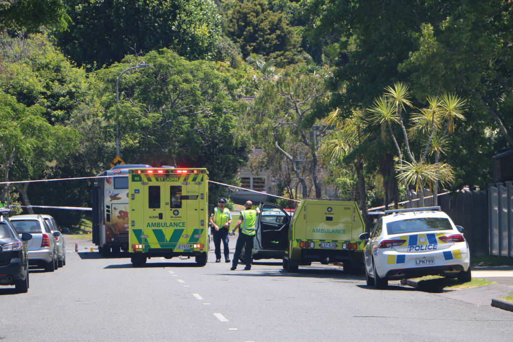 Emergency services at the scene of the collision on Gowing Drive in Auckland on 12 January 2019.