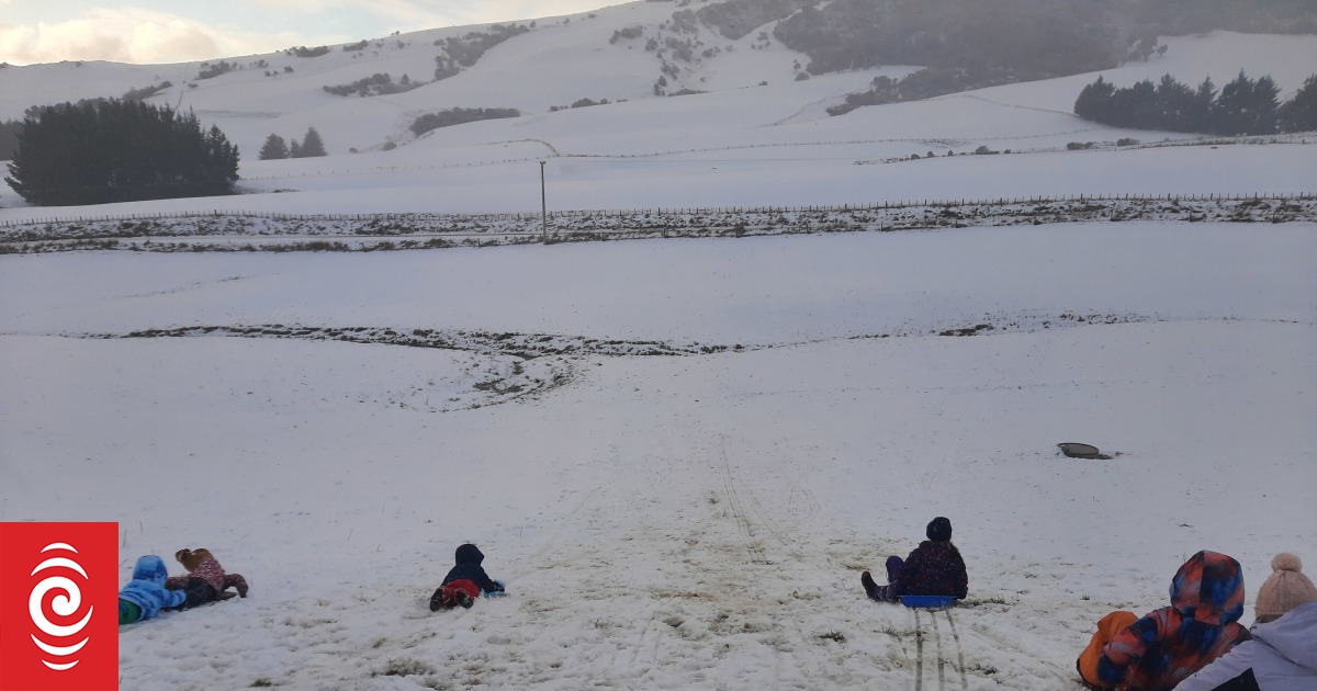 Weather photos: Farms covered in snow after cold blast sweeps South Island - Vimarsana News