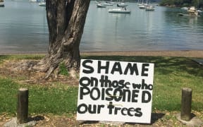 Pōhutukawa trees were poisoned in Opito Bay.