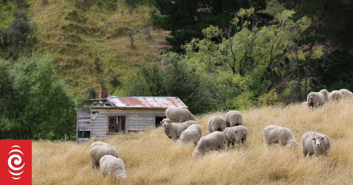 Rural News for 12 March 2021 | RNZ