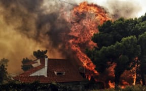 More than 300 firefighters, five aircraft and two helicopters have been mobilised to tackle the "extremely difficult" situation due to strong gusts of wind, Athens fire chief Achille Tzouvaras said.