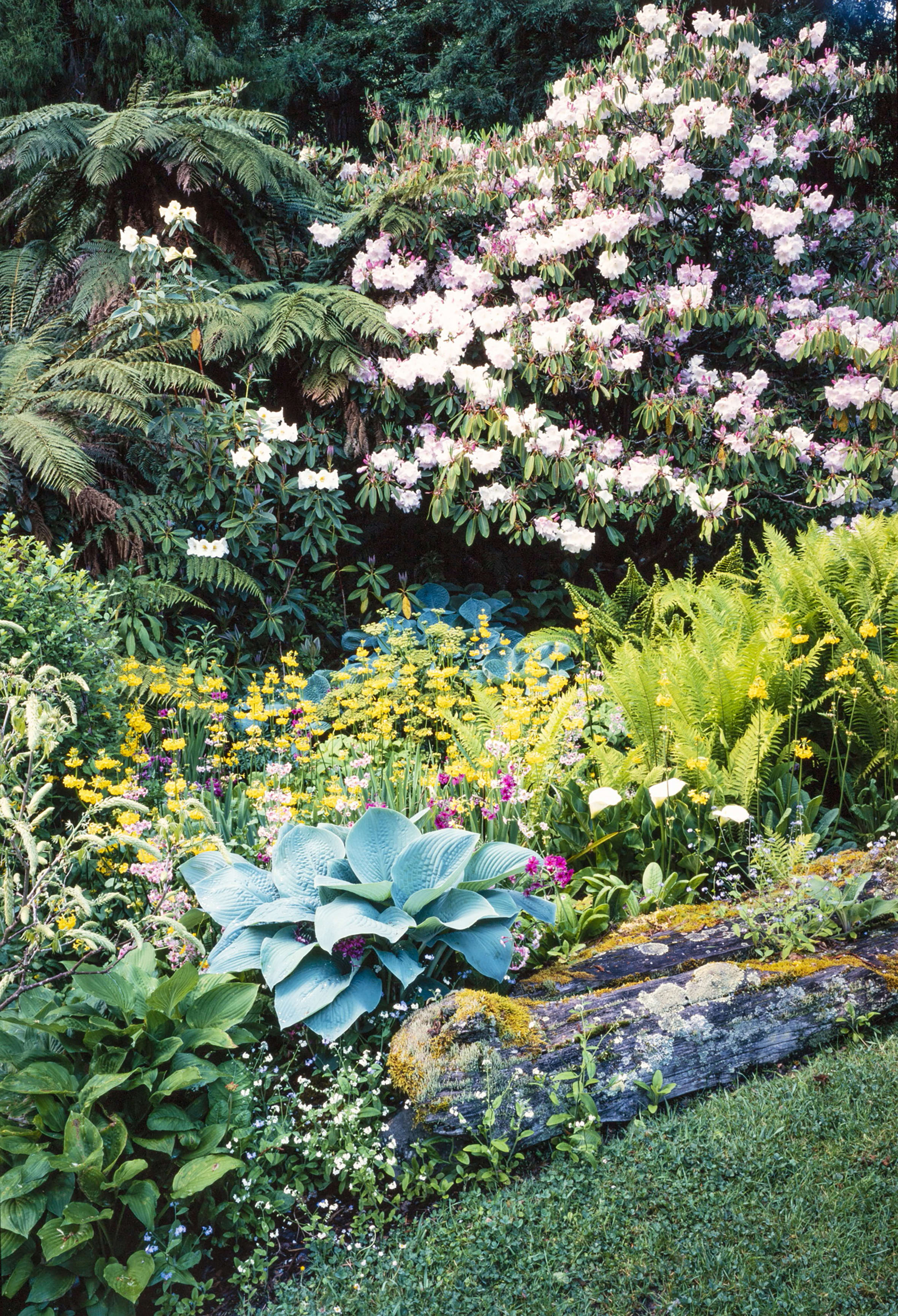 Gordon Collier Gardens A Gallery from Saturday Morning RNZ National